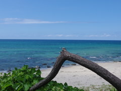 海のある景色。