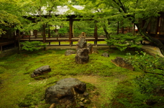 建仁寺