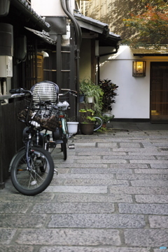 DP3M0288