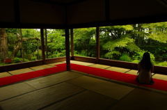 じっくり眺める、額縁庭園。