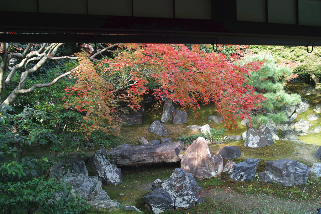 圓徳院