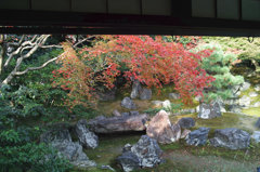 圓徳院