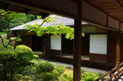 IMGP4802