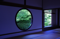 そうだ京都、いこう