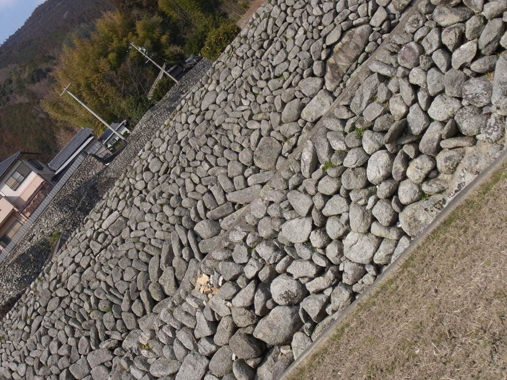 深野のだんだん田　その３