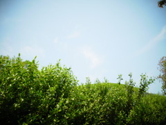 R0011285