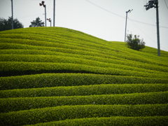 R0011347