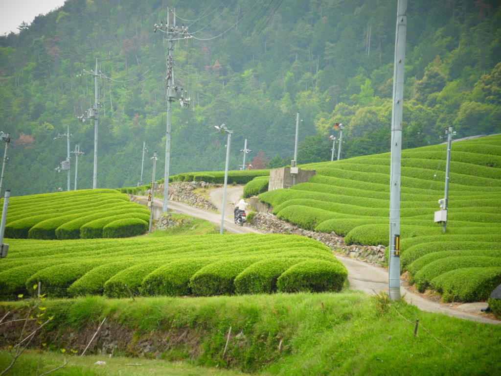 R0011411