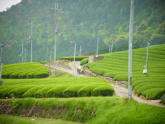 R0011411