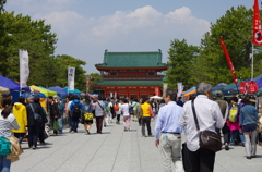 春の平安神宮