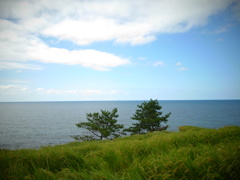 R0012542