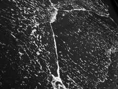 オールド　デイズ