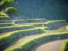 美しいにっぽんの原風景