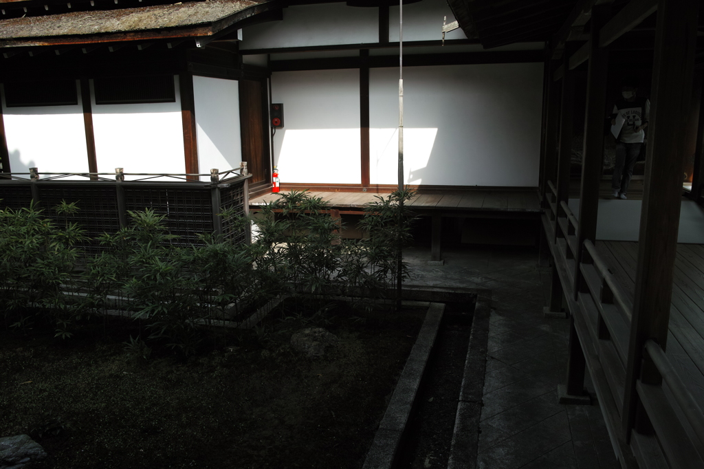 DP1M0679