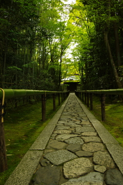 大徳寺　高桐院への参道。