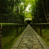 大徳寺　高桐院への参道。