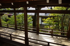 IMGP6684