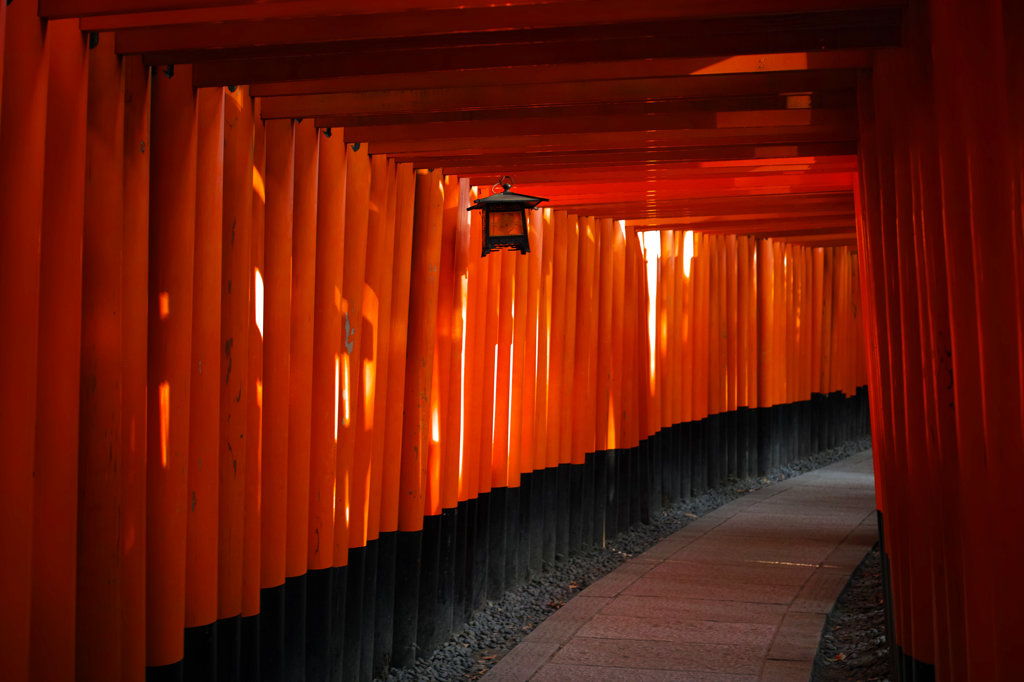 深紅の世界へようこそ。