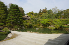 IMGP6679