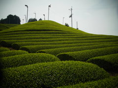 R0011330
