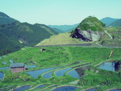 maruyama rice terrace