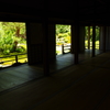 青蓮院門跡の庭園。
