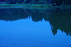 IMGP4969