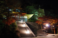 tanzan jinja shrine