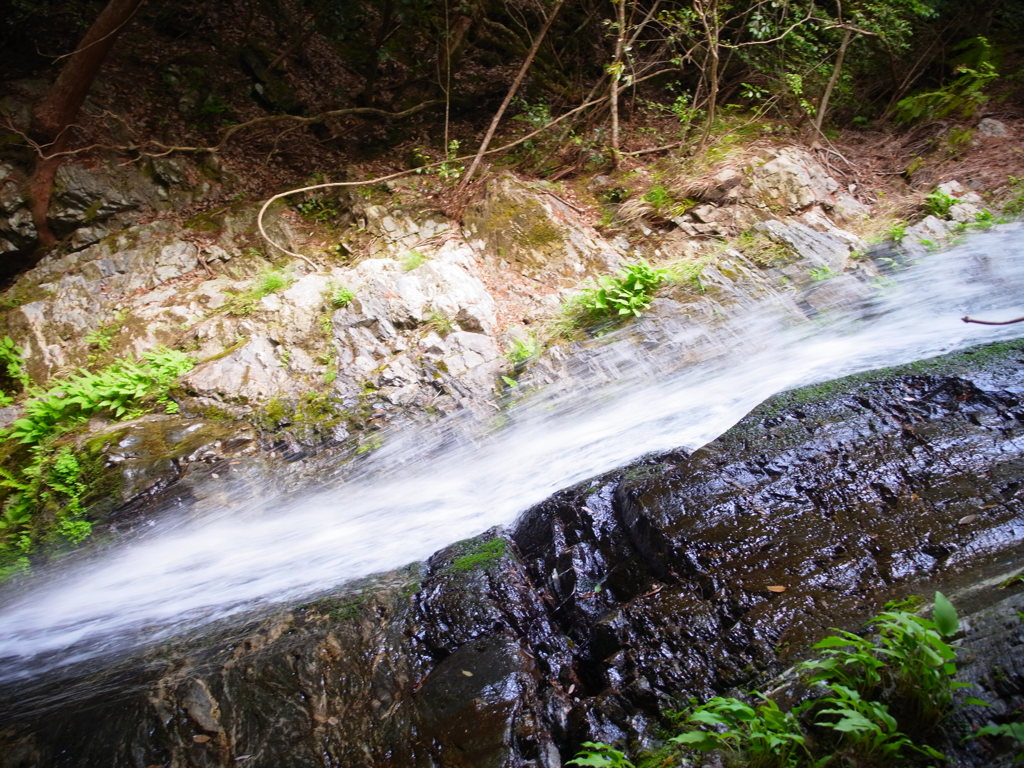 清らかな・・・