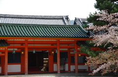IMGP6543