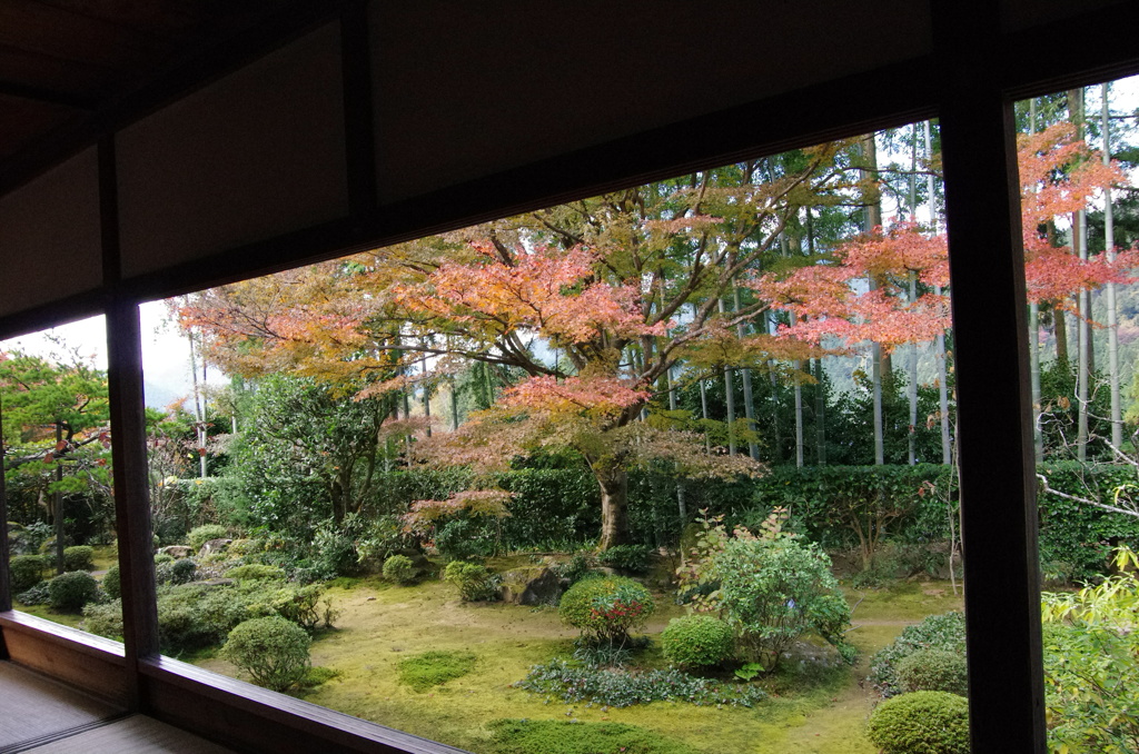 大原宝泉院