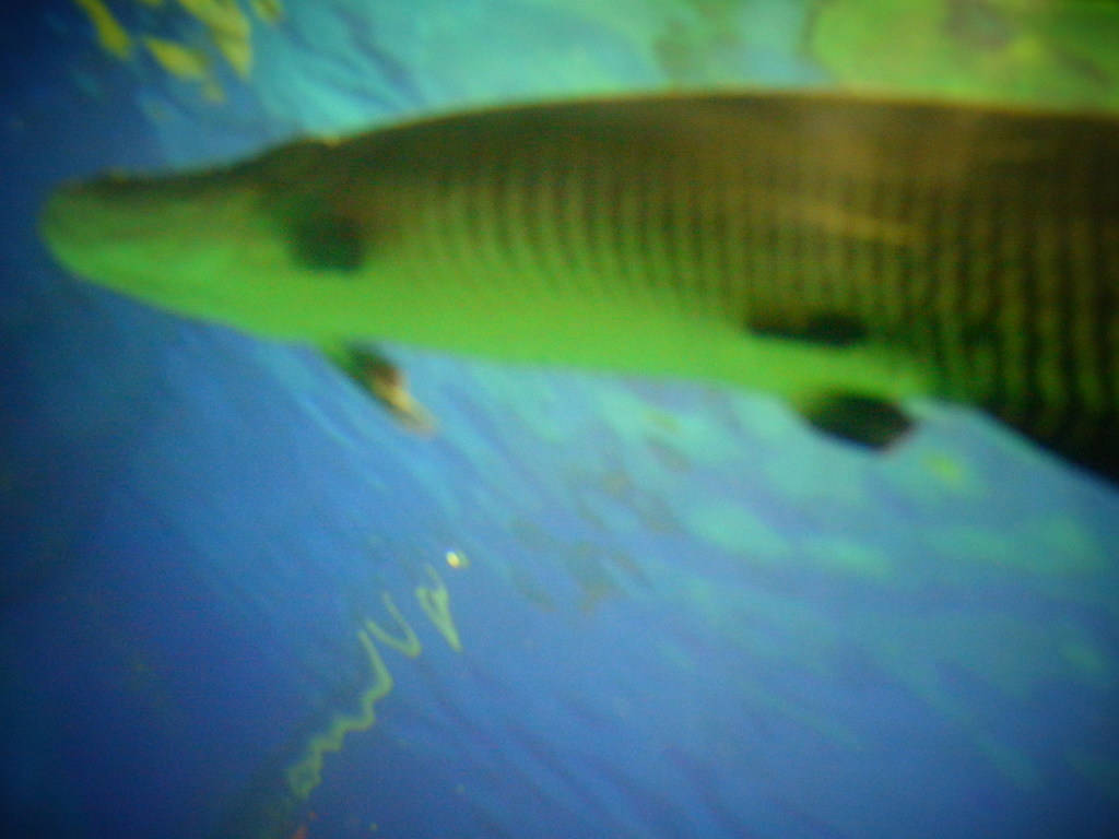 R0010489
