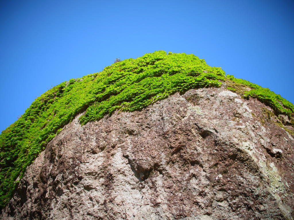 R0011579