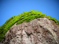 R0011579