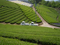 R0011259