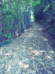 path