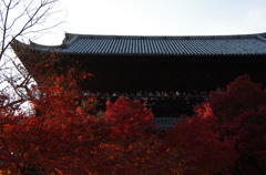 nanzenji temple