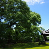 青蓮院門跡