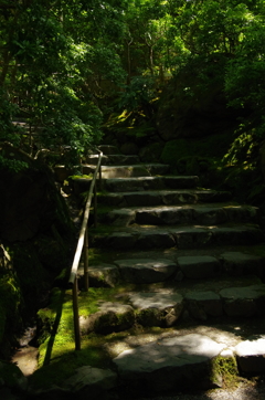 瑠璃光院　参道