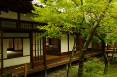 建仁寺