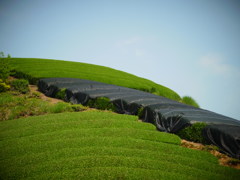 R0011280
