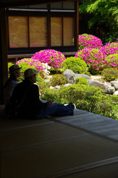 のんびりとした時間。