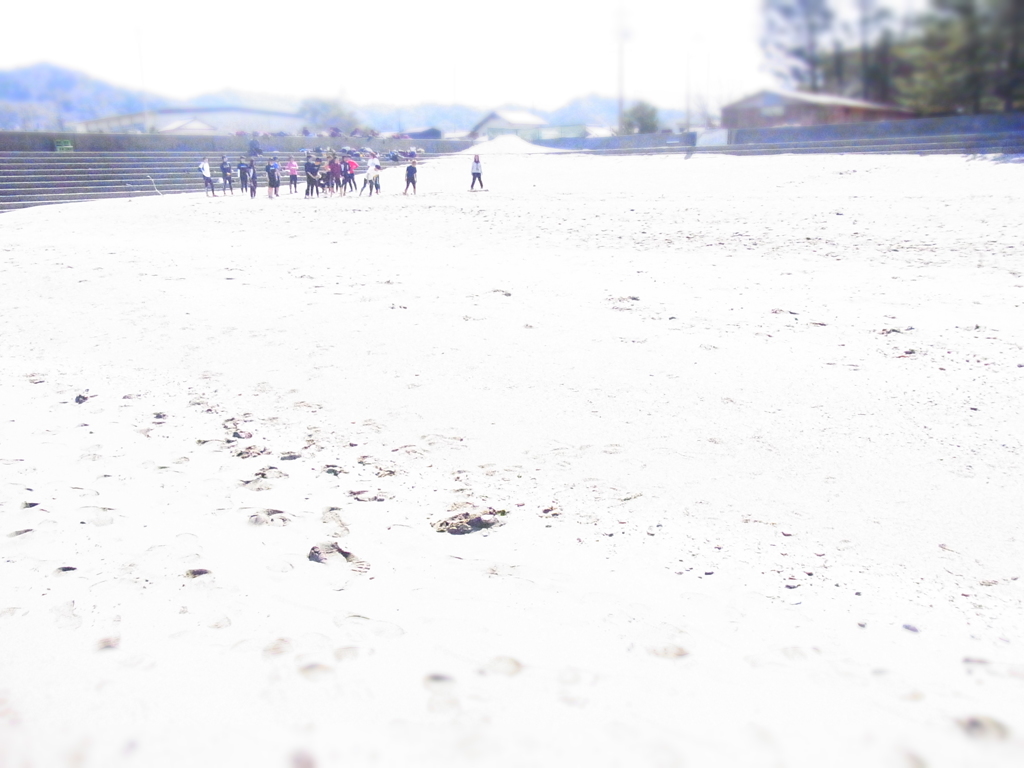 海岸でトレーニング中！！（ミニチュア風）