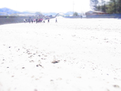 海岸でトレーニング中！！（ミニチュア風）