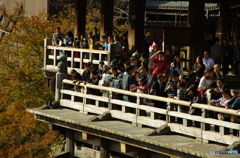 IMGP5627