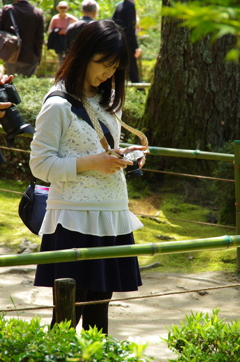 IMGP6479