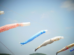 空より高い鯉のぼり