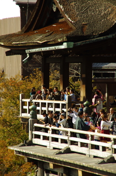 IMGP5626