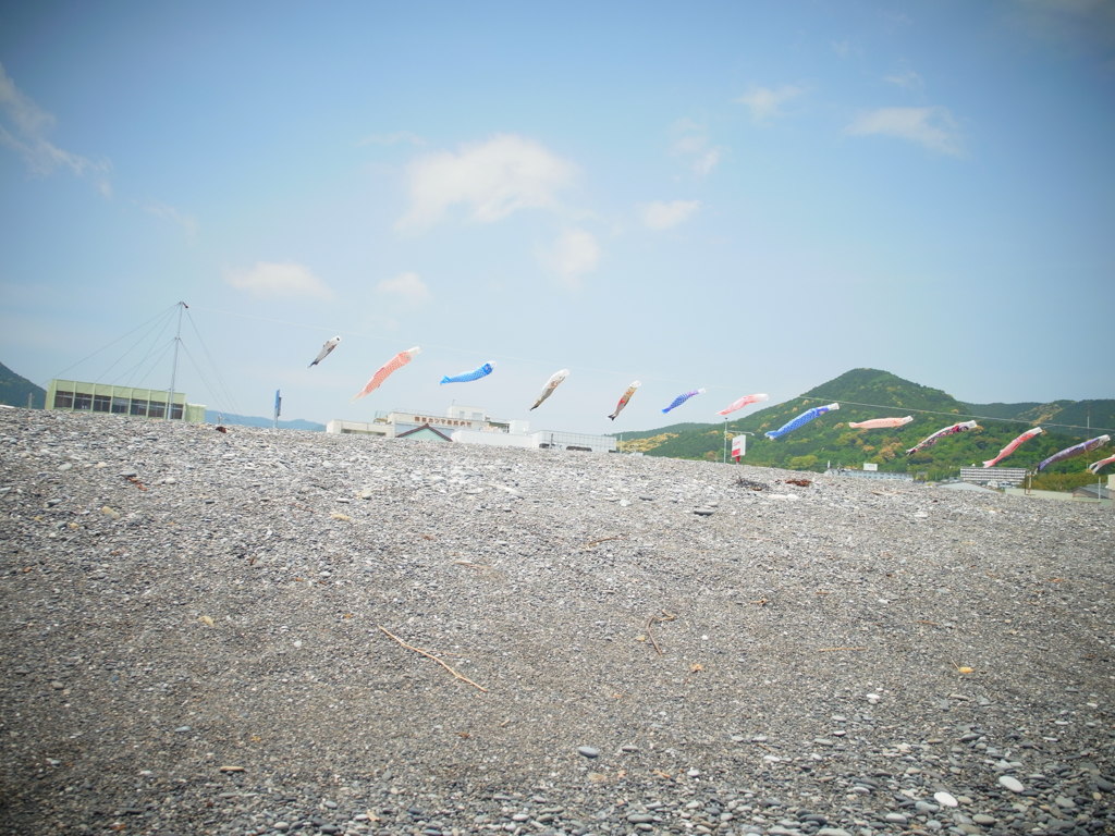 空より高い鯉のぼり