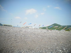 空より高い鯉のぼり